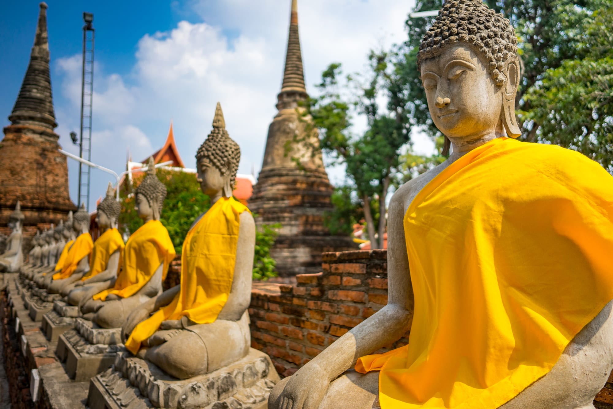 Stone Buddhas Line an Ancient Temple in Ayutthaya