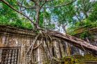 Ruins at Beng Mealea in Siem Reap