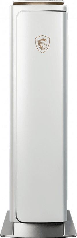 Weiß MSI Prestige P100 9SF-006AT.1