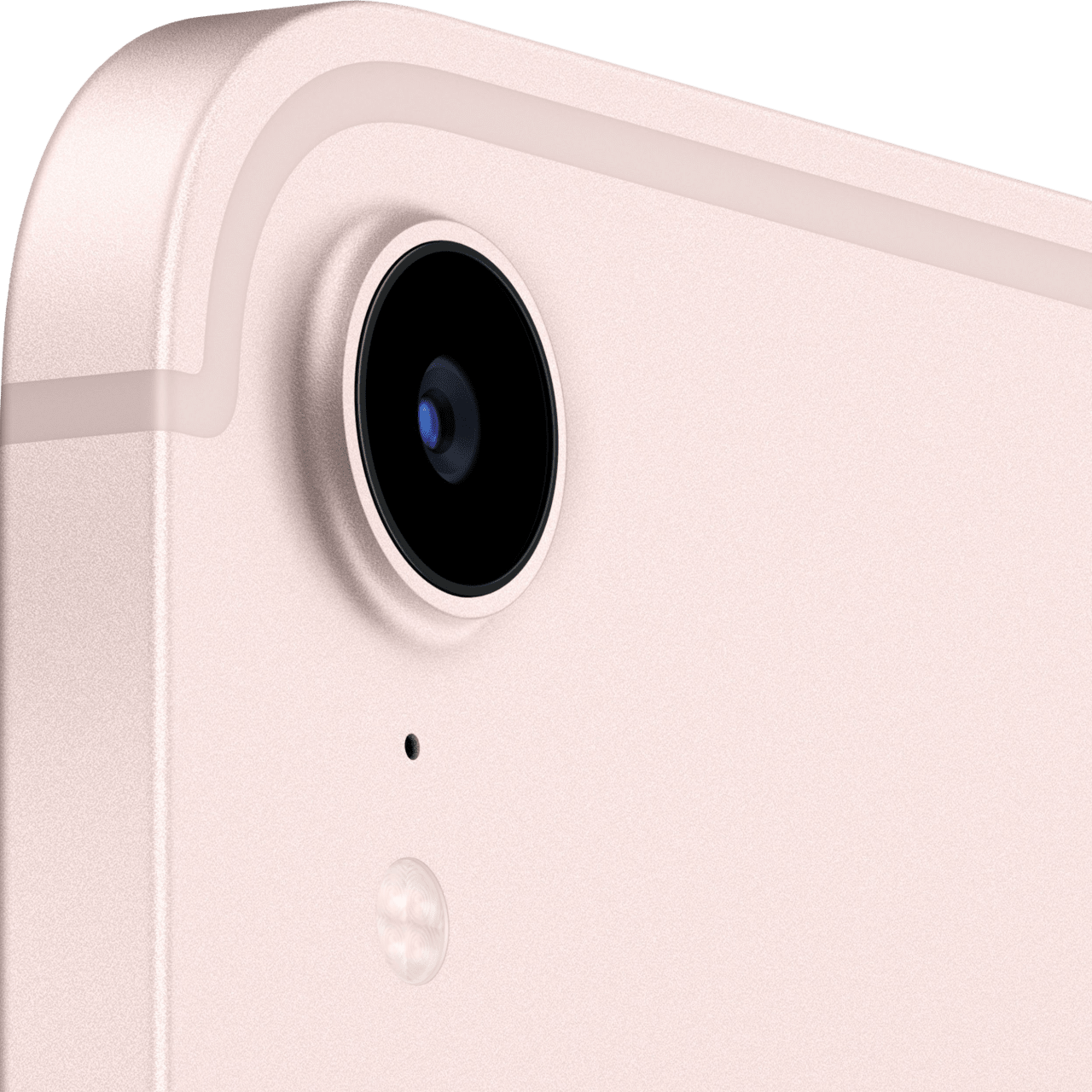 Pink Apple iPad mini (2021) - 5G - iOS 15 - 256GB.3