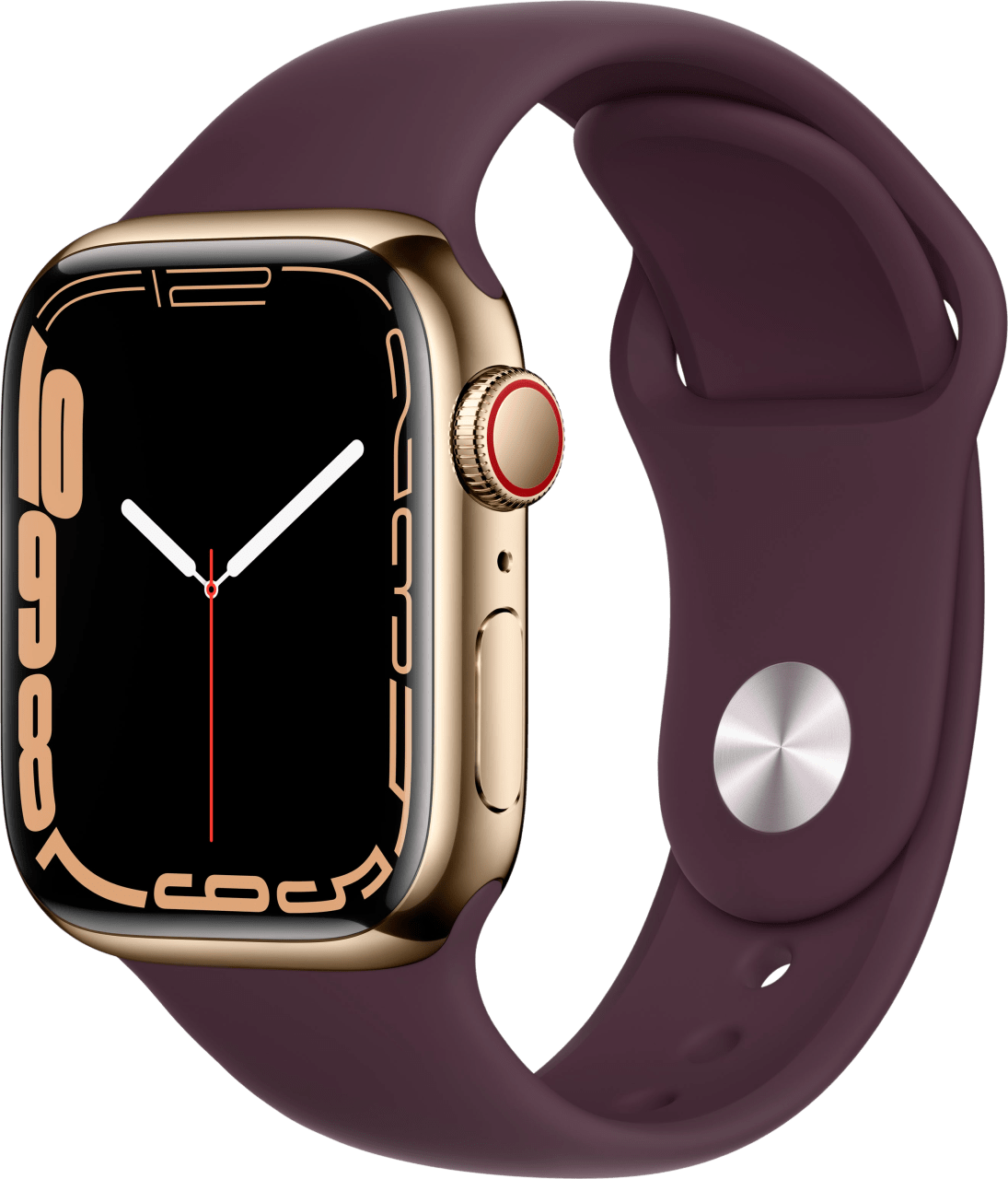 Gold Apple Watch Series 7 GPS + Cellular, 45mm, Stainless Steel Case and Sport Band.1