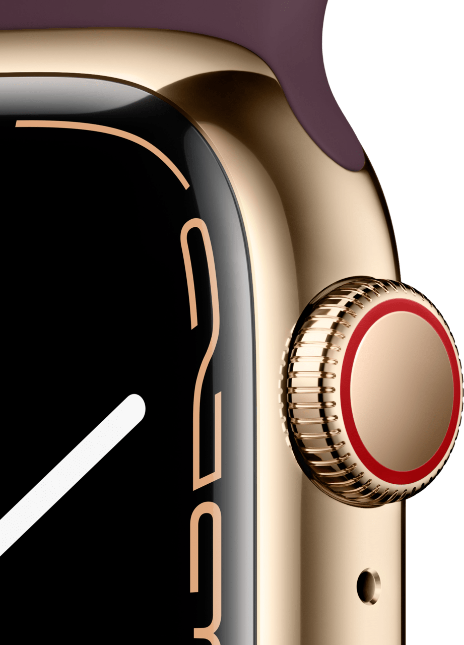 Apple Watch Series 7 GPS + Cellular, 45mm, Stainless Steel Case and