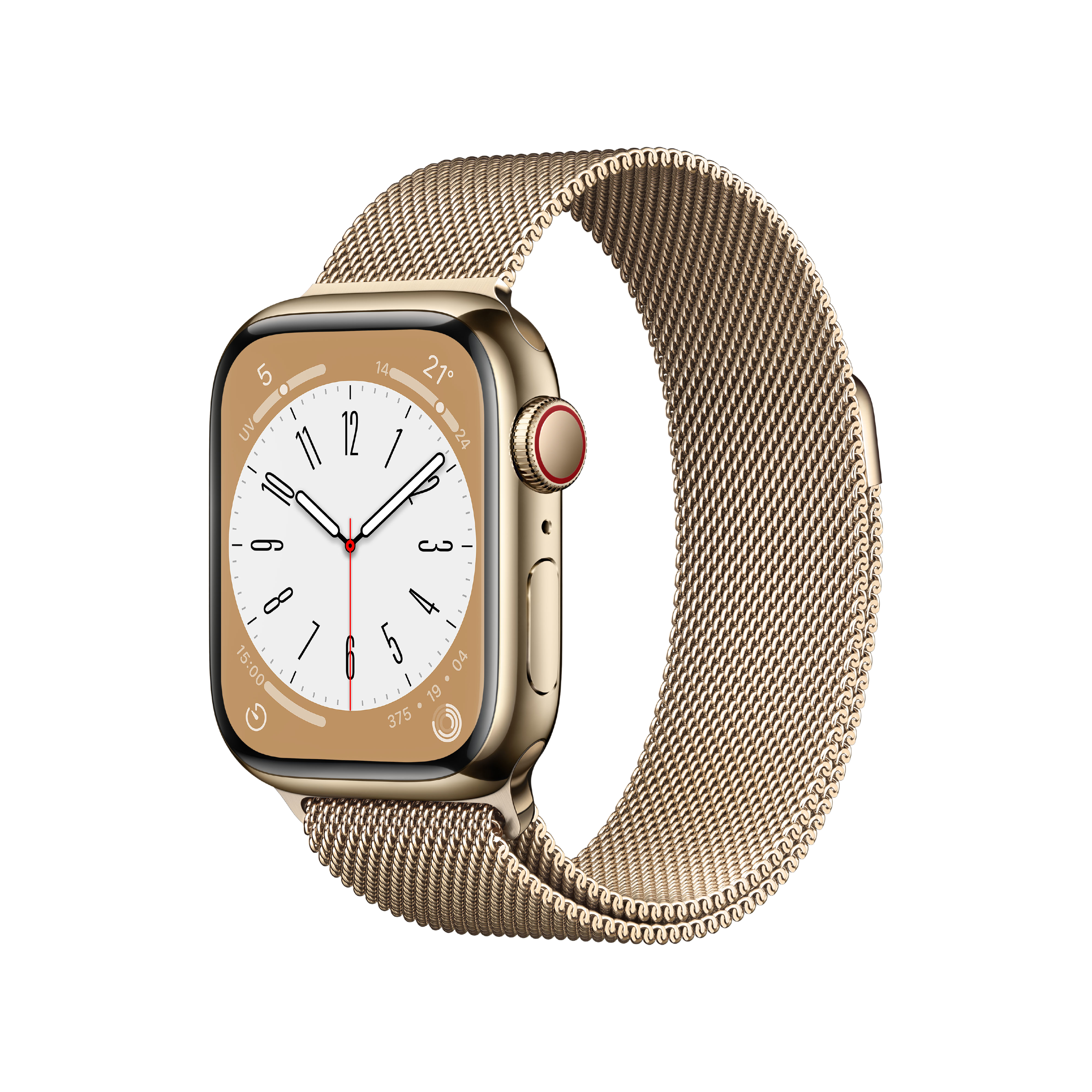 Rent Apple Watch Series 8 GPS + Cellular, Stainless Steel Case 