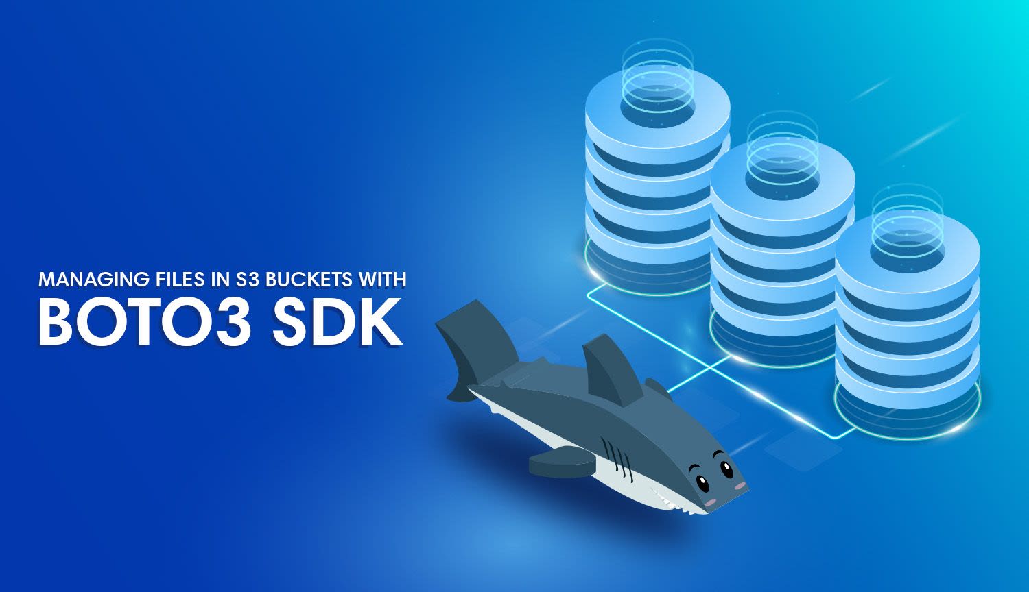 S3 File Management With The Boto3 Python SDK
