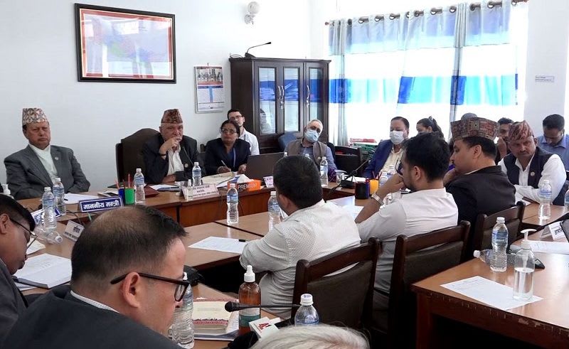 चिकित्सकका माग सम्बाेधन गर्न सरकारलाई संसदीय समितिकाे निर्देशन