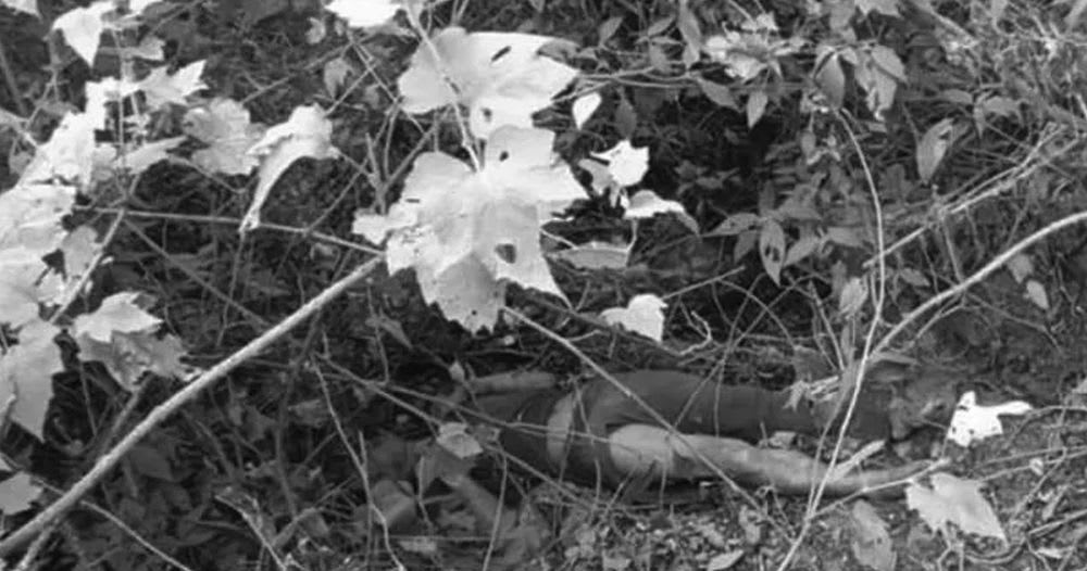 प्रवीण हत्या प्रकरण : राजुलाई जन्मकैद, गोविन्दलाई तीन वर्ष र प्रकाशलाई डेढ महिना कैद फैसला