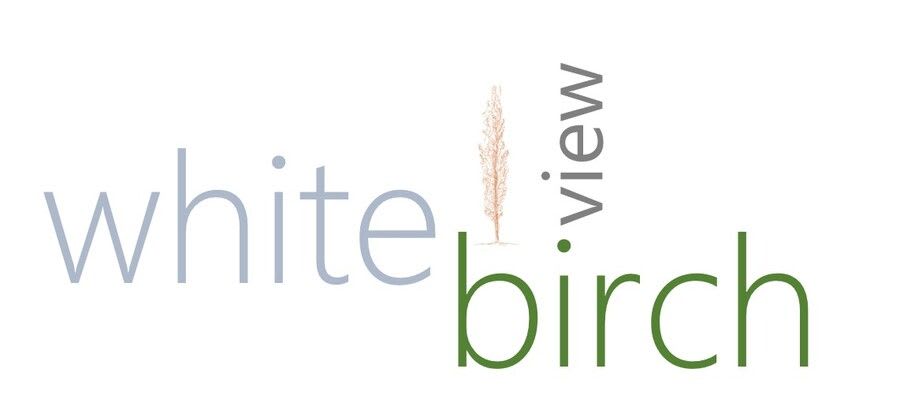 White Birch View, LLC & SFTP To Go: Secure Integration & Data Management