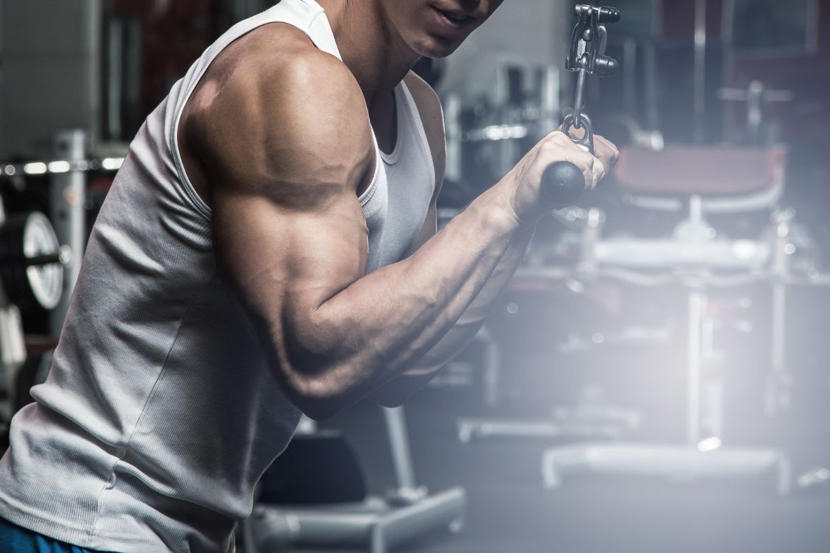 Die besten Trizeps-Übungen für das Gym und Zuhause: Effektiv trainieren für starke Oberarme