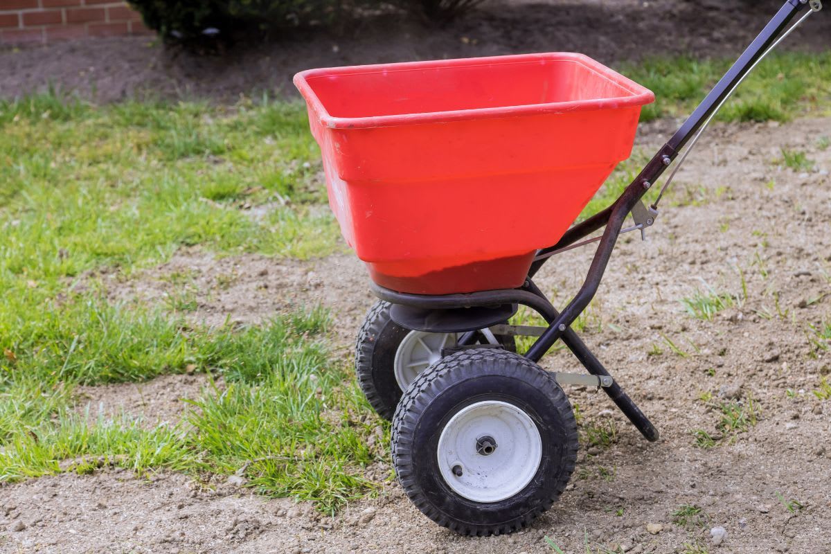 Ein roter Streuwagen auf einem kahlen Rasenbereich, bereit, Saatgut oder Dünger gleichmäßig zu verteilen.