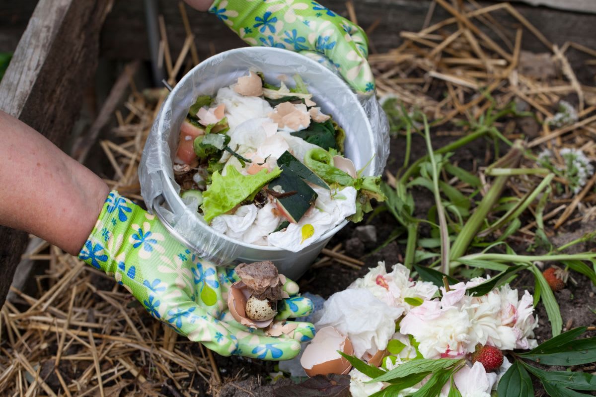 Was darf alles auf den Kompost? Neben Bioabfällen und Gartenabfällen dürfen auch unbedrucktes Papier oder Katzenstreu auf den Komposthaufen.