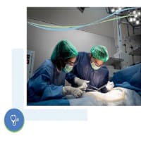 T90rc89tu7mu7q3vhhdo