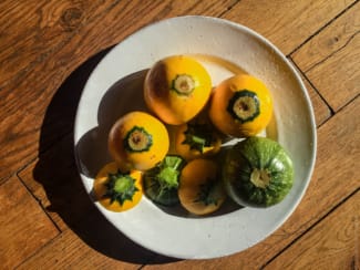 Petits farcis végétariens