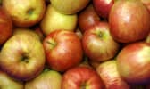 Pommes