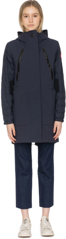canada goose Polar Sea canada goose Polar Sea