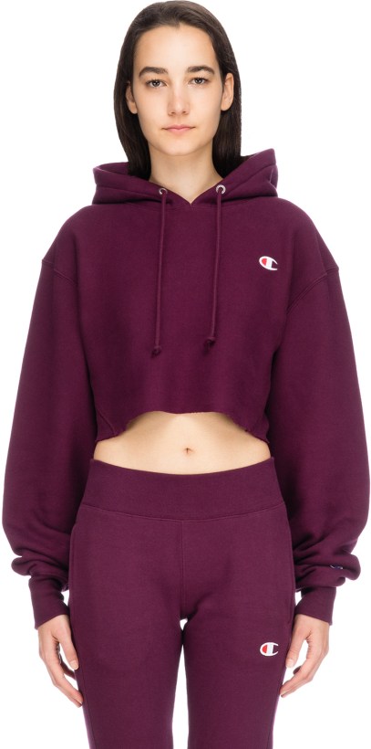 champion hoodie dark purple