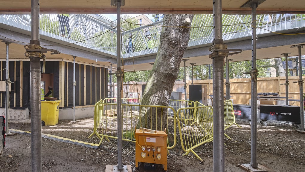 Exterior view of a tree amid construction of the Elephant Park Pavilion