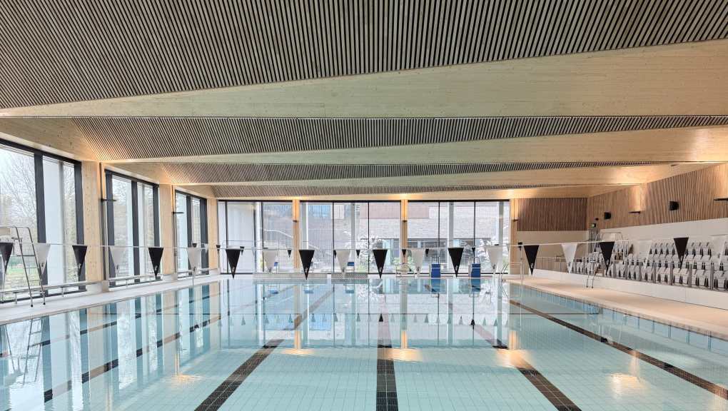 The swimming pool. Copyright: Design Engine Architects, 2026.