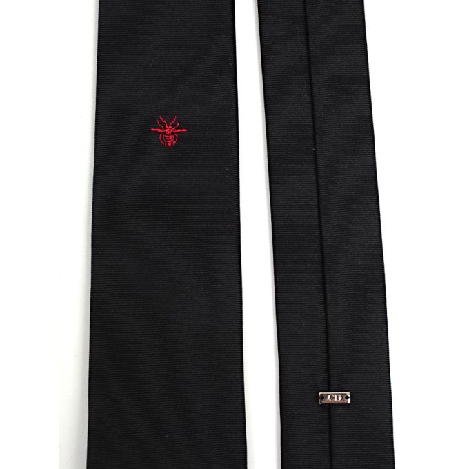 Dior Homme Logo Embroidered Tie展示图