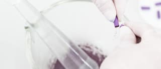 JGL acquires Serbian company BG Pharm