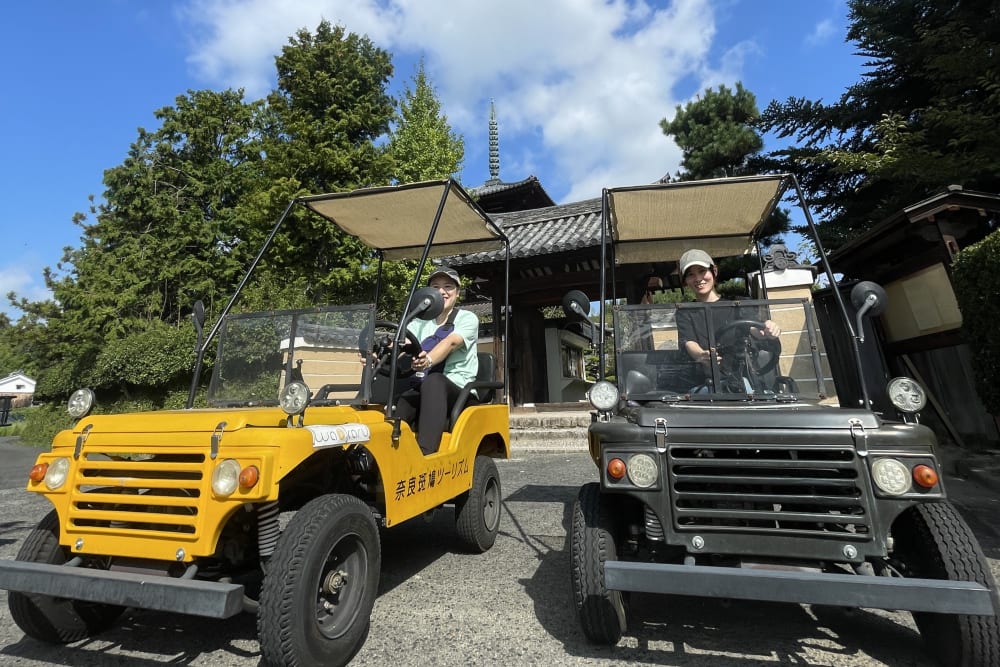 Japanese buggy works outlet
