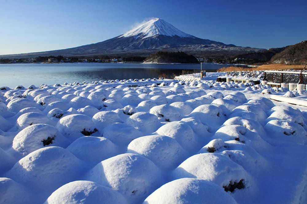 Lake Kawaguchi | Yamanashi | Japan Snow | Japan Travel