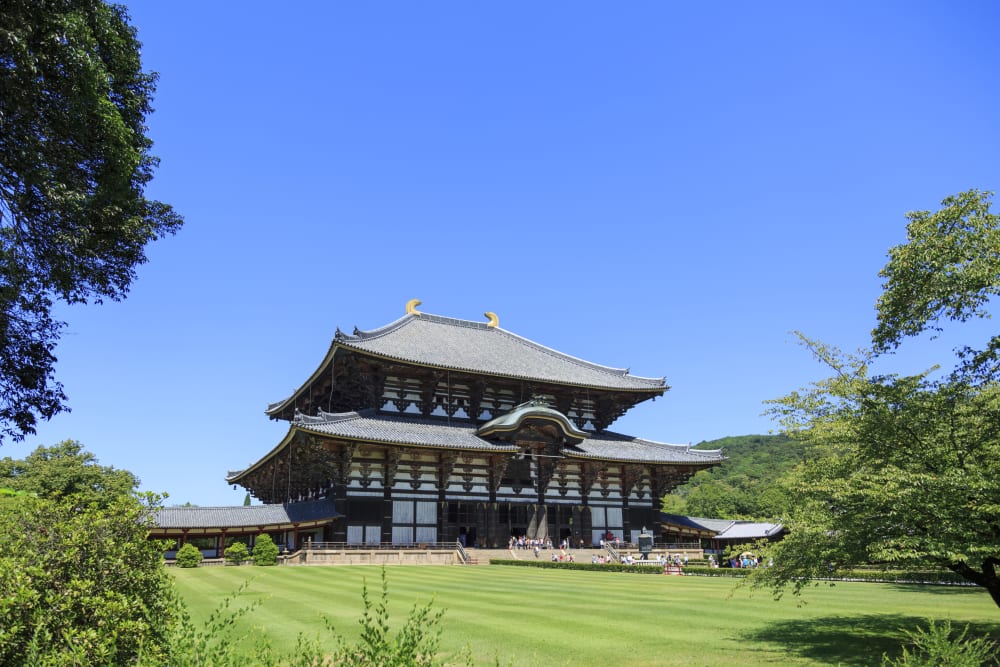 Nara City | Nara | Kansai | Travel Japan - Japan National Tourism