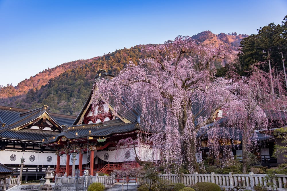 www.japan.travel