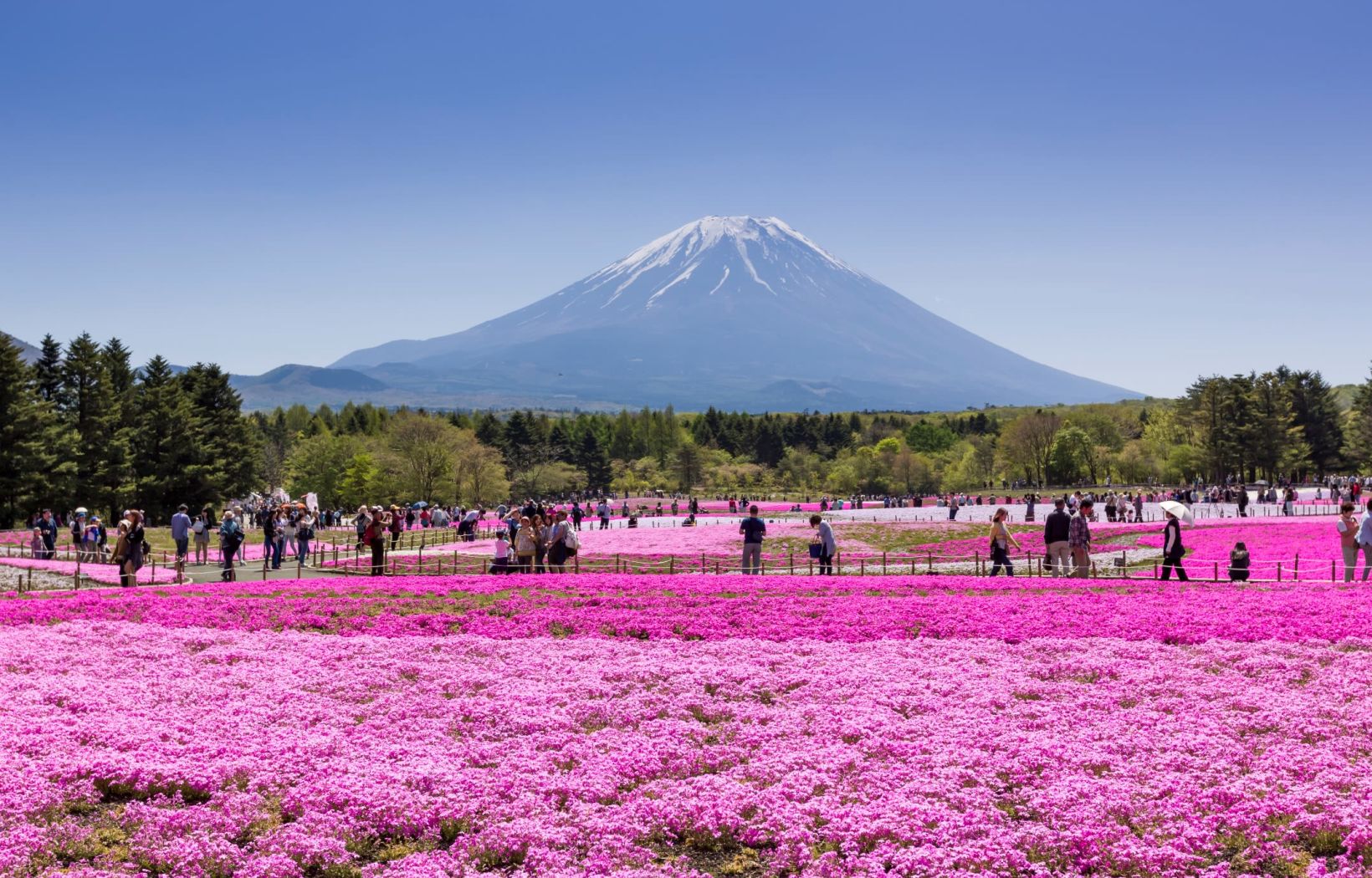 Korea & Japan: 14-Day Highlights Tour - photo 3