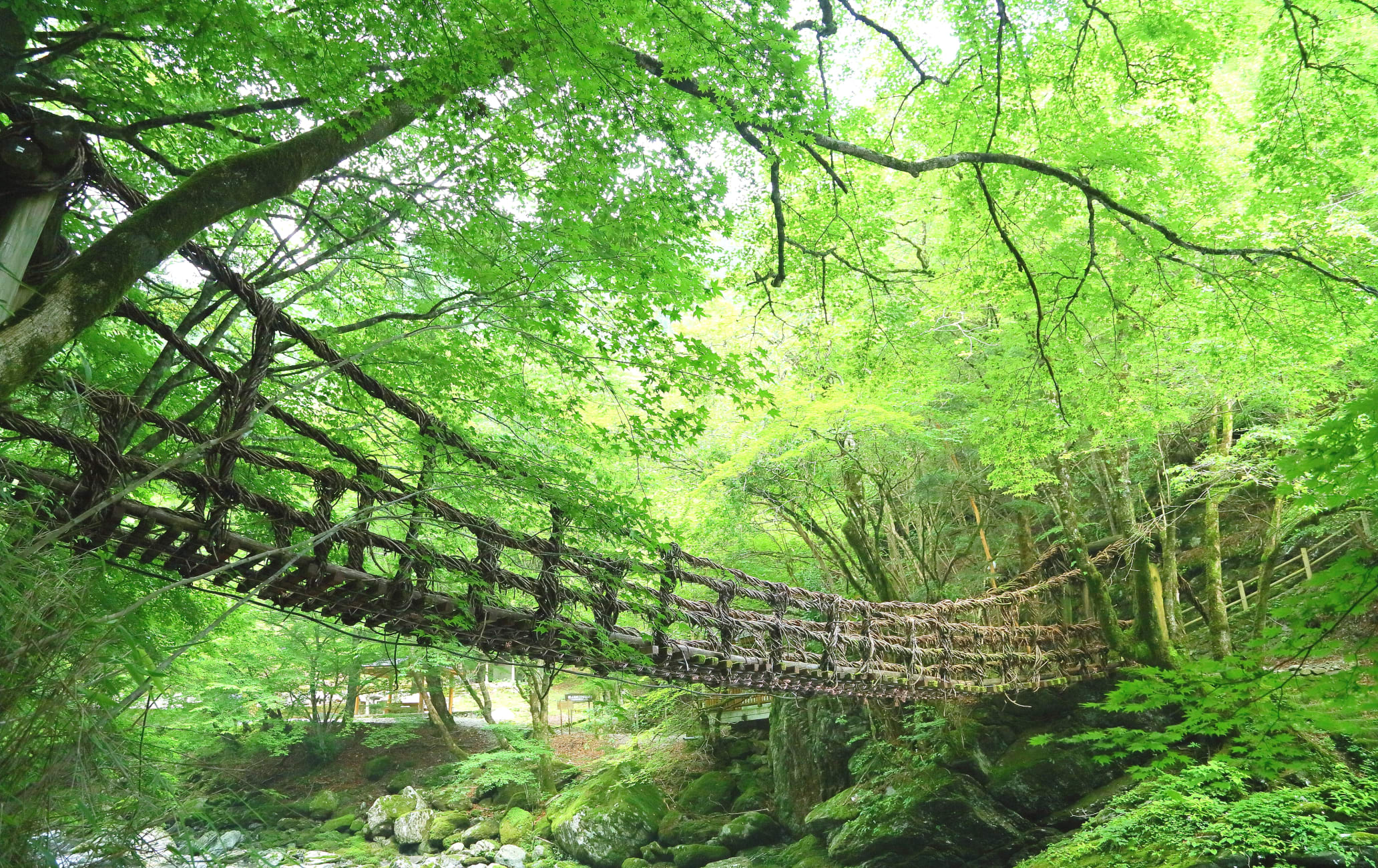 Kazurabashi Bridge