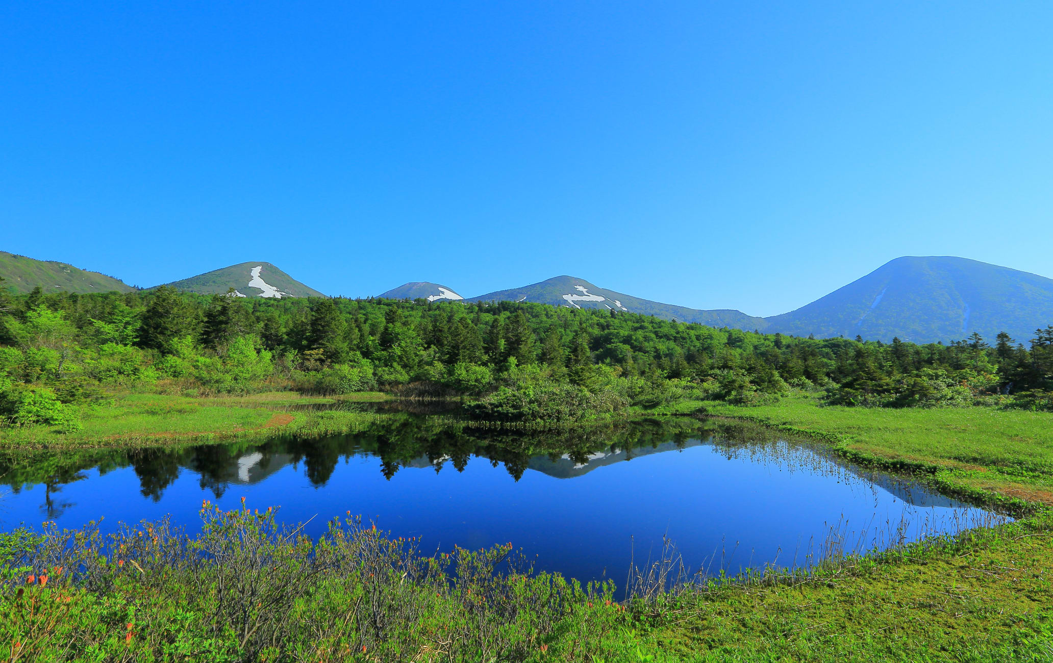 Suiren-numa Pond