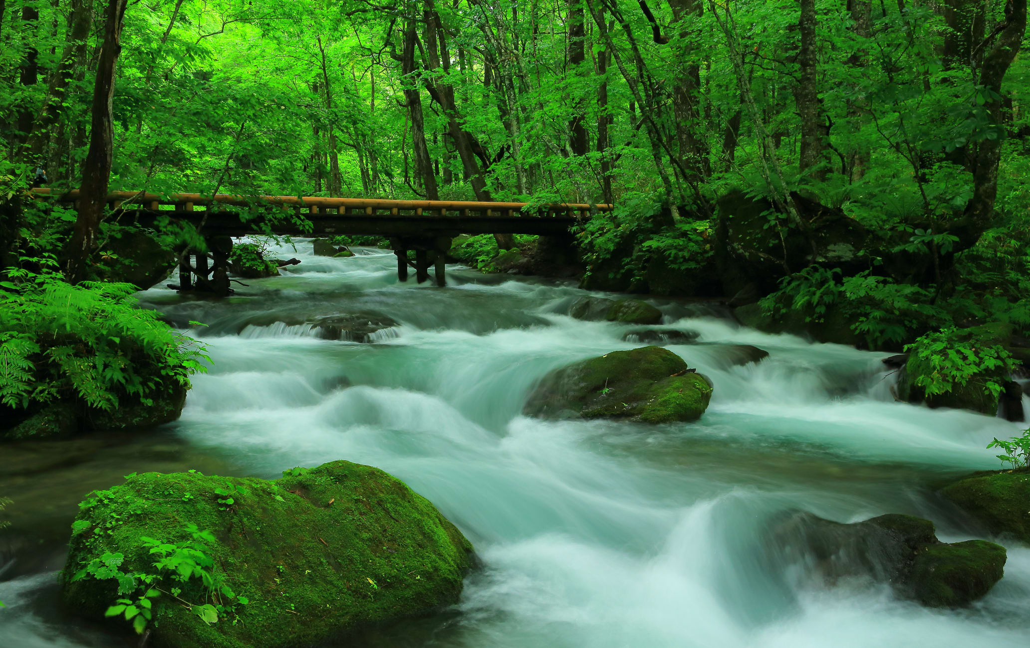 Oirase Mountain Stream