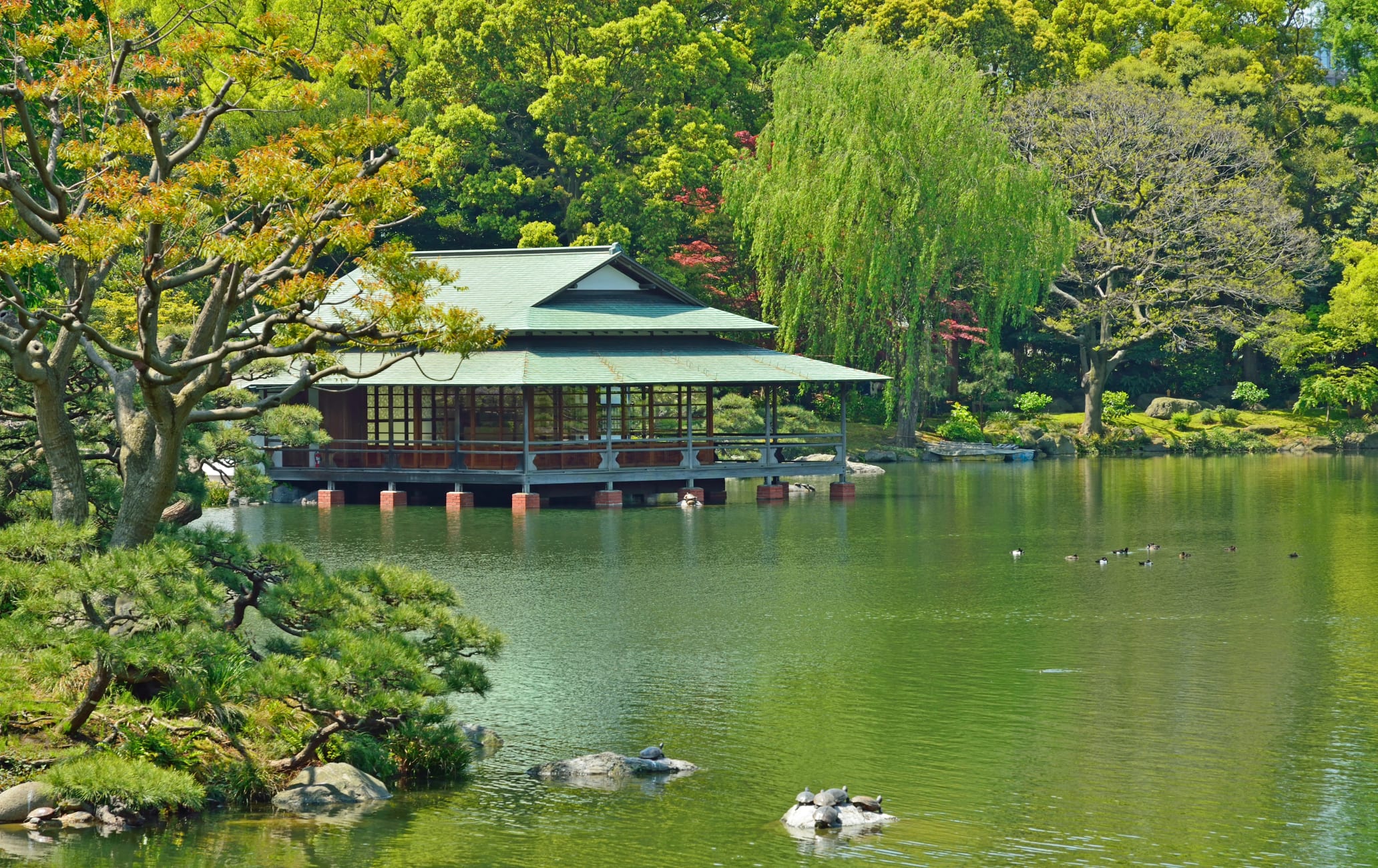 Kiyosumi Garden