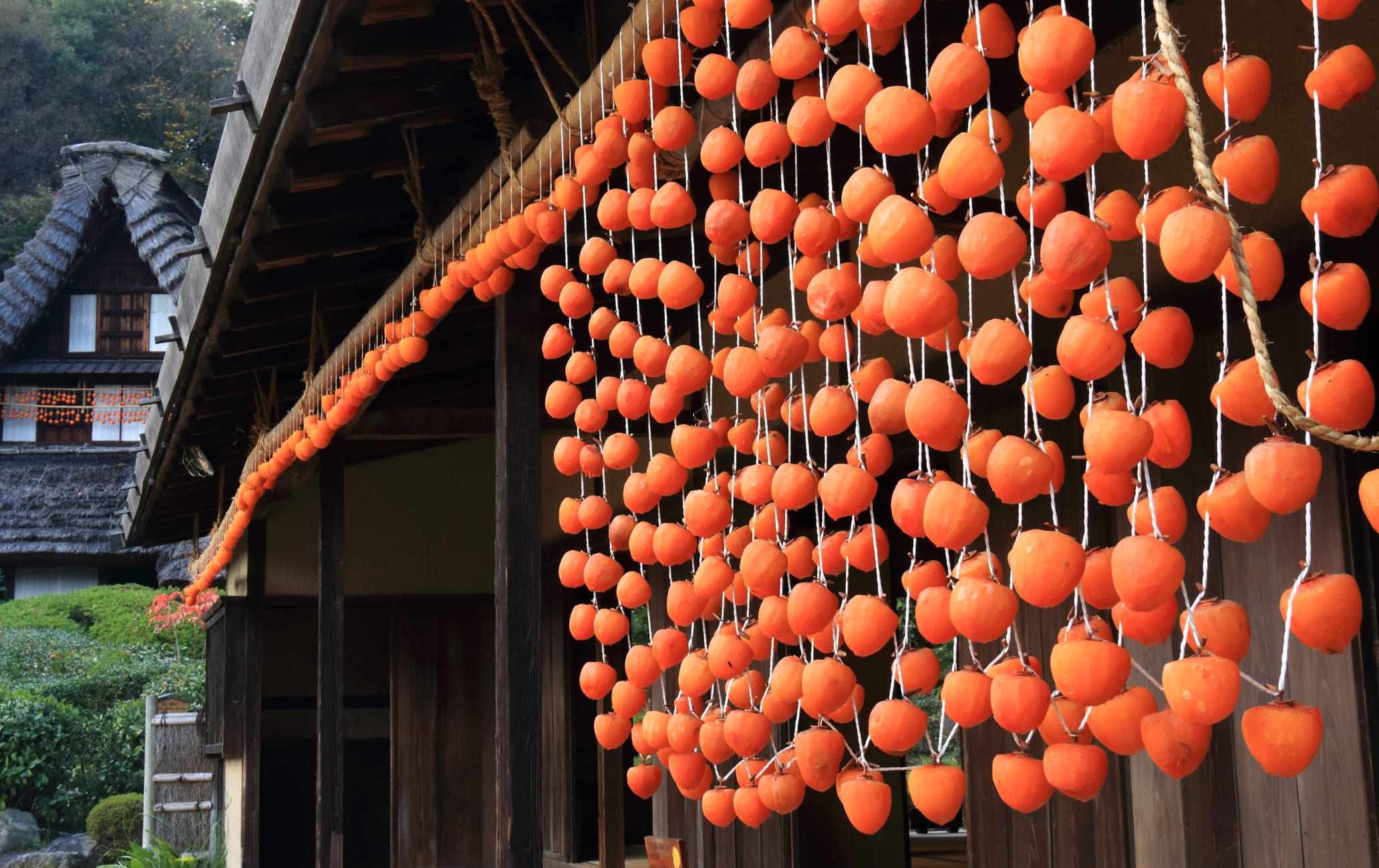 Japan Open-Air Folk House Museum