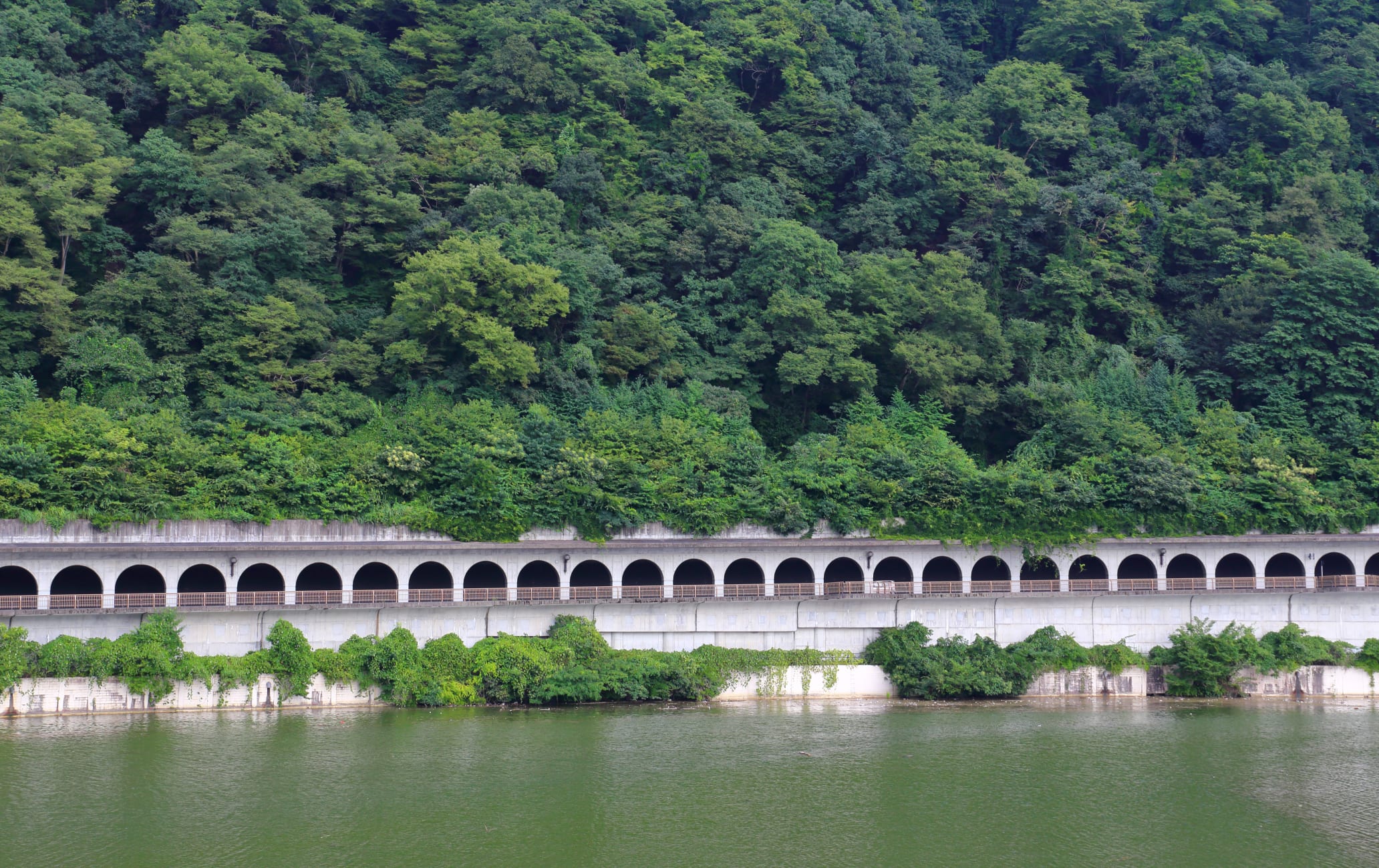 Lake Sagami-ko Area