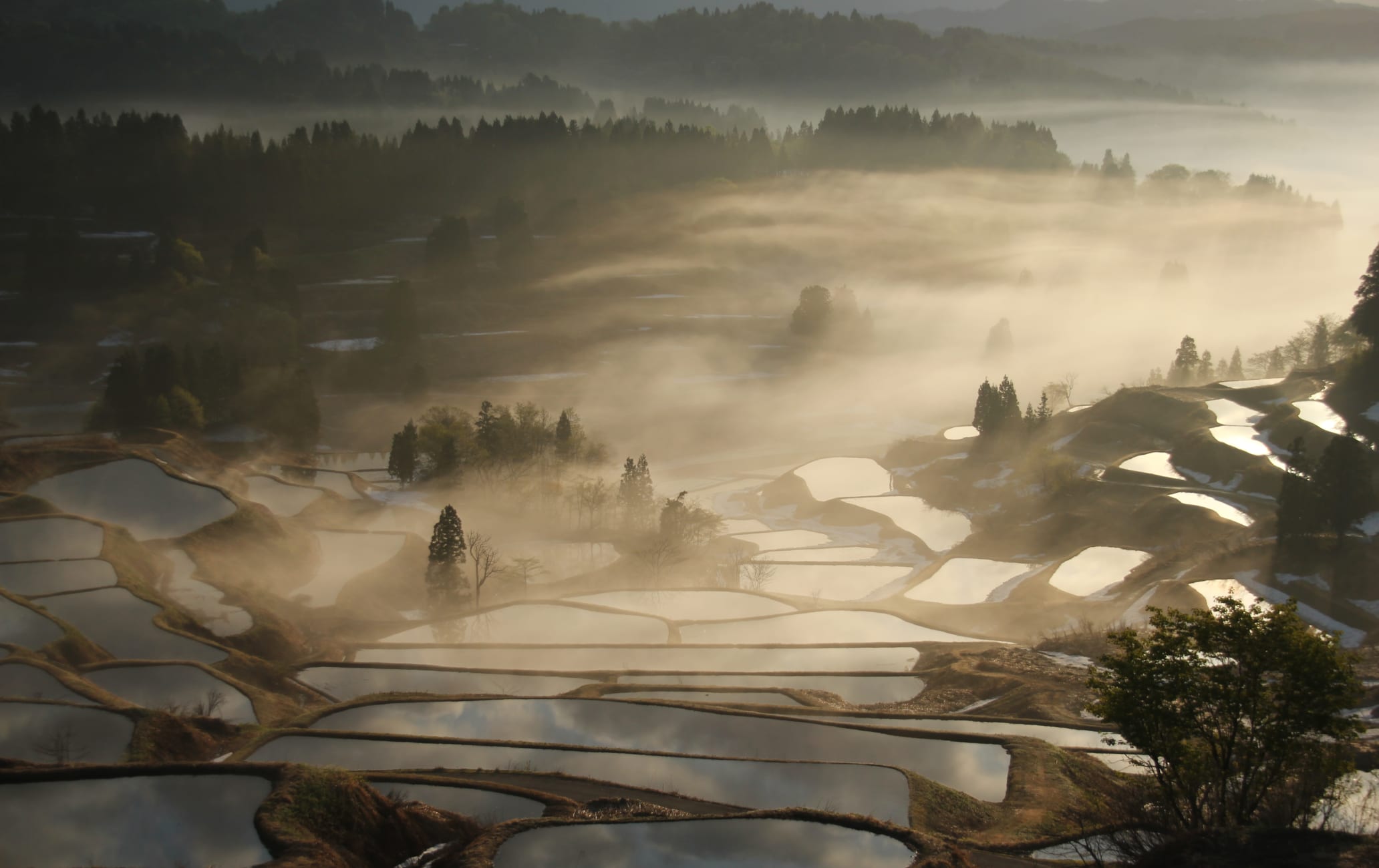 The terraced rice fields of Hoshi-toge