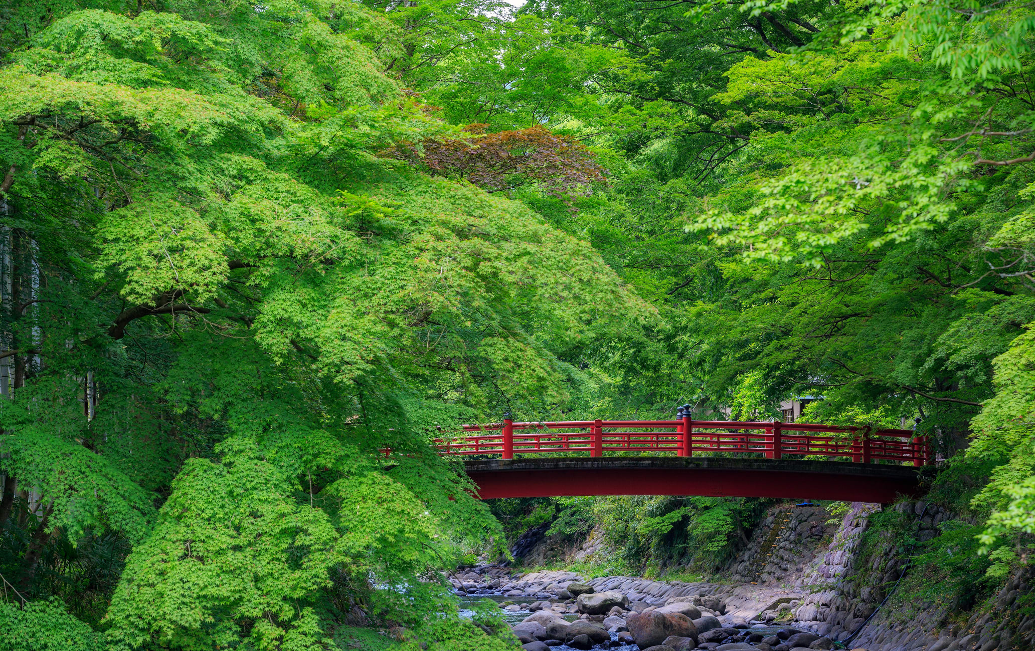 Shuzen-ji Area