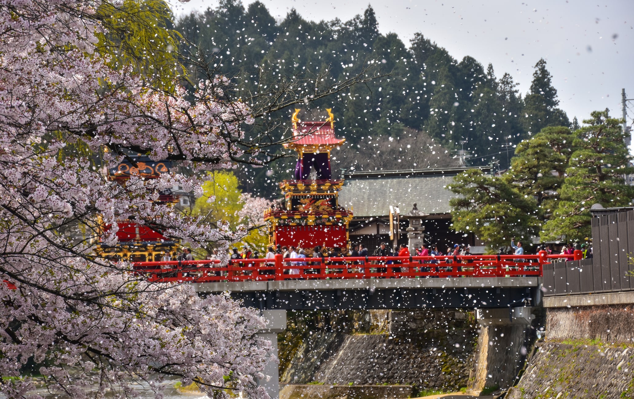 Takayama Spring Festival 2024 Tickets Tandy Sydney