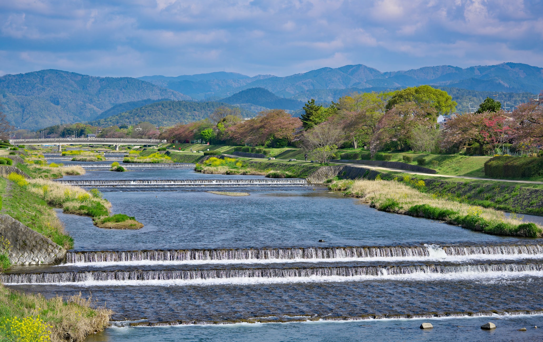 Kamo River