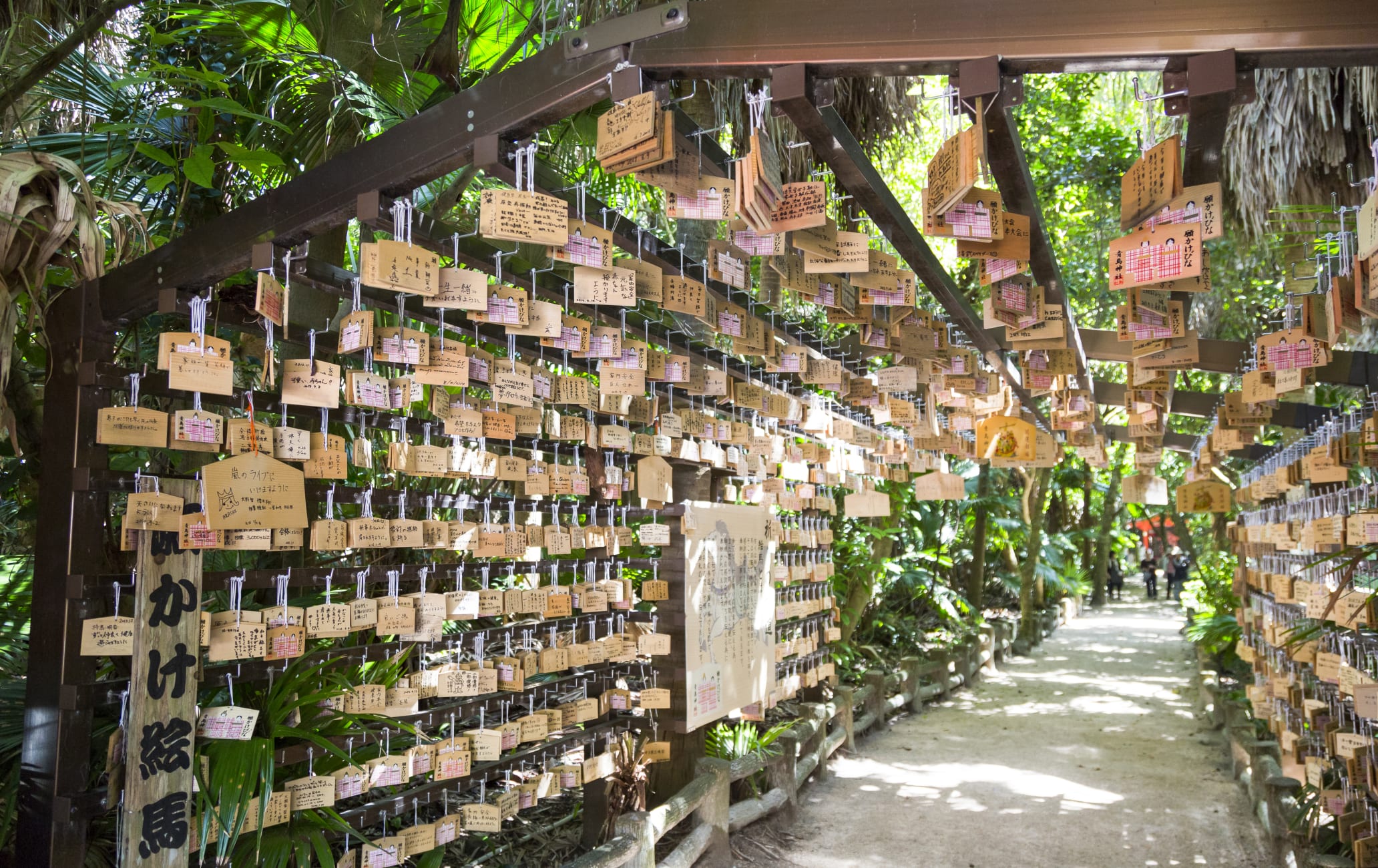 Aoshima shrine