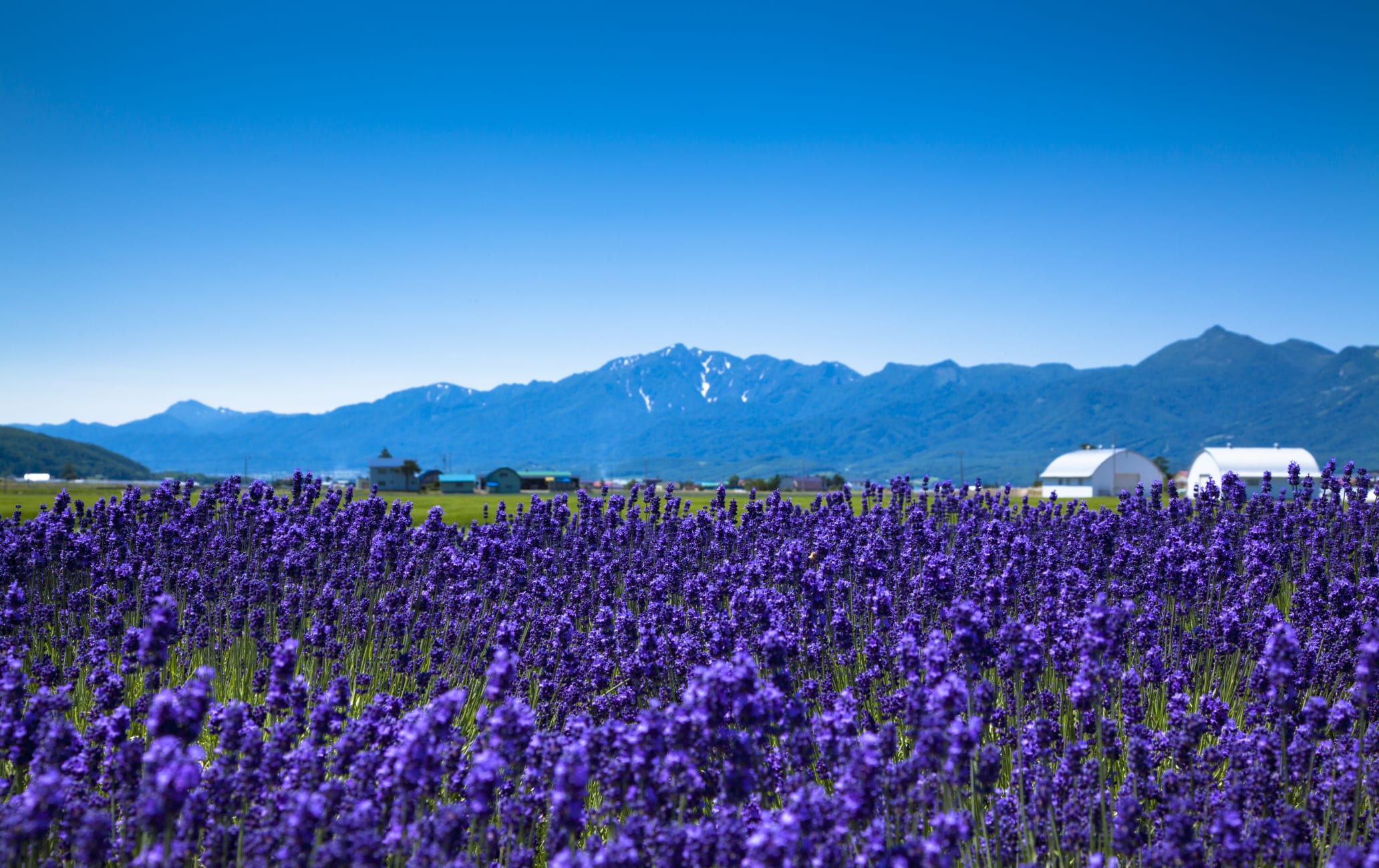 Furano