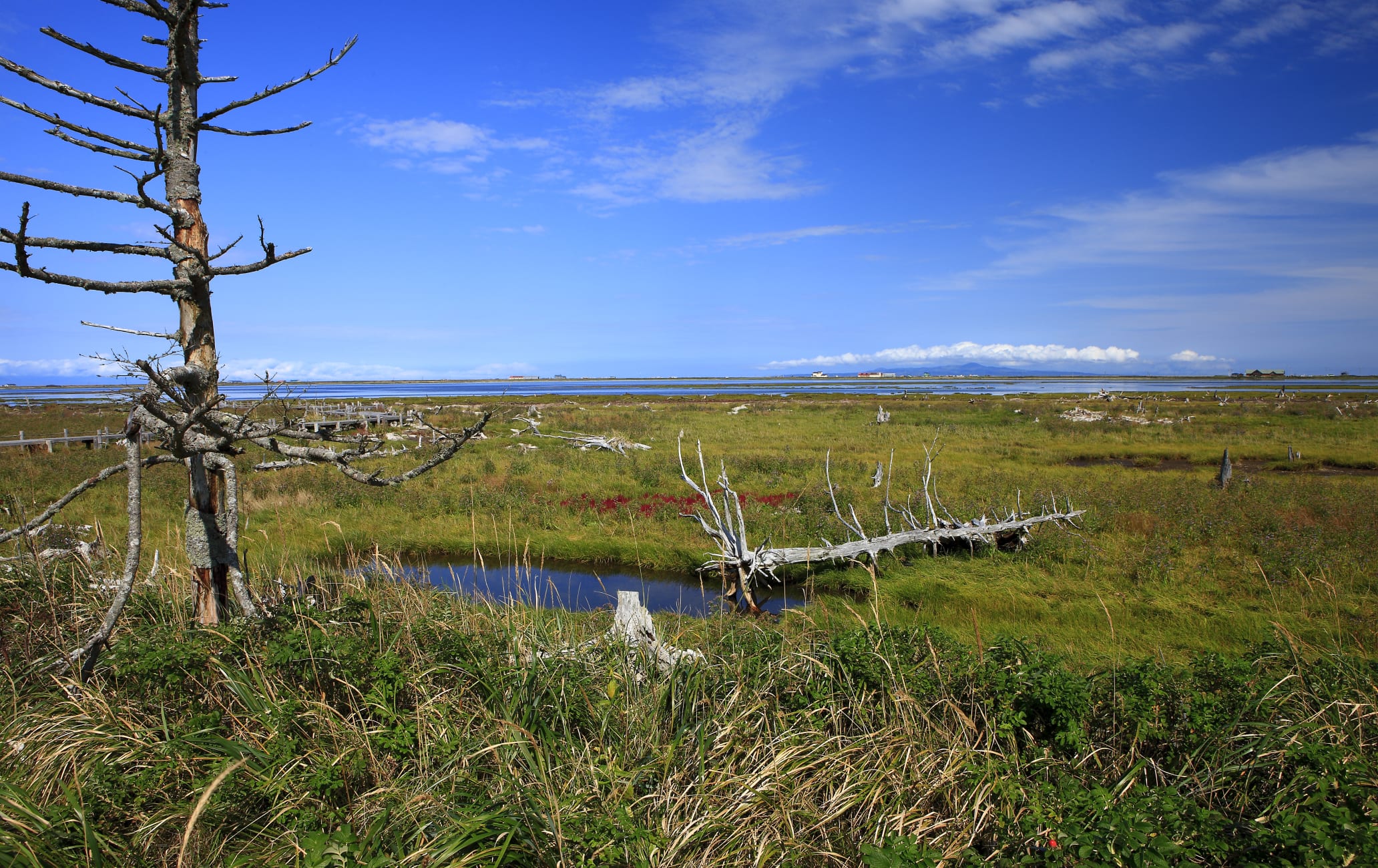 Notsuke Peninsula