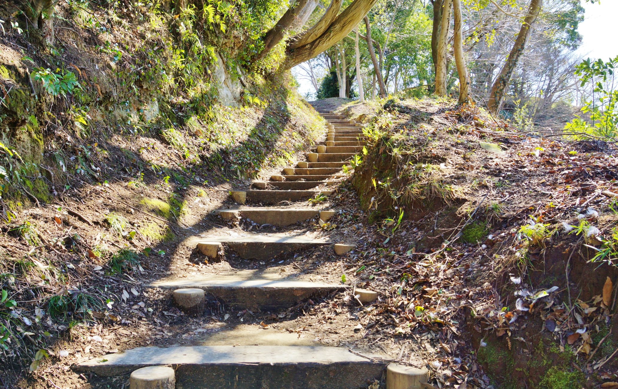 The ruins of Nirayama Castle