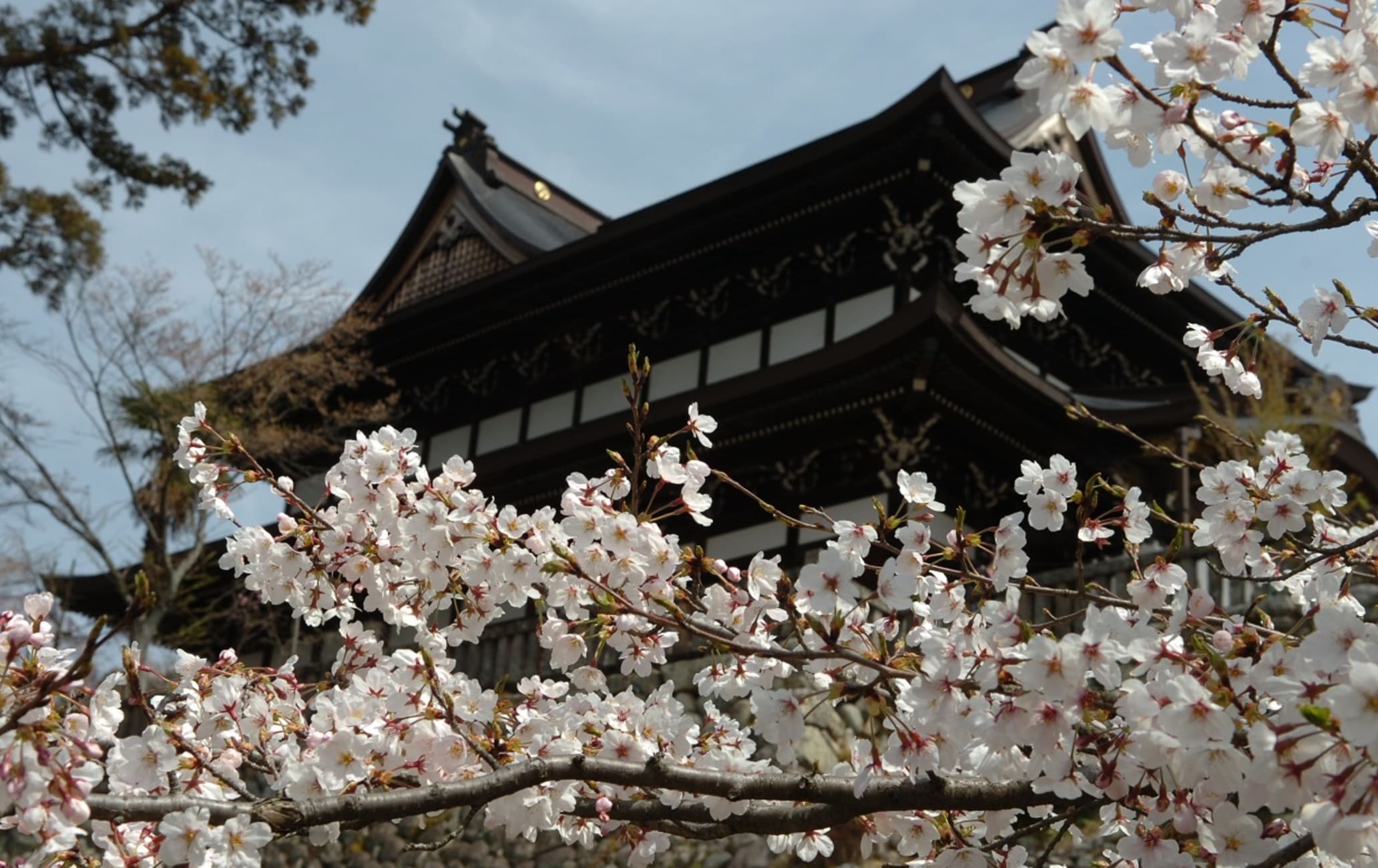 Seki, la capital de las katanas y los cuchillos de Japón