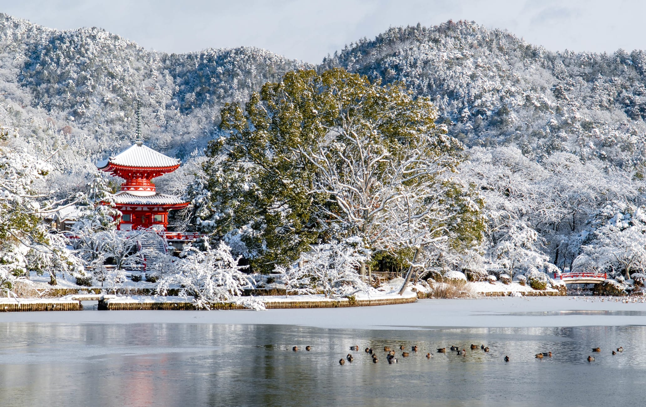 Daikakuji Temple