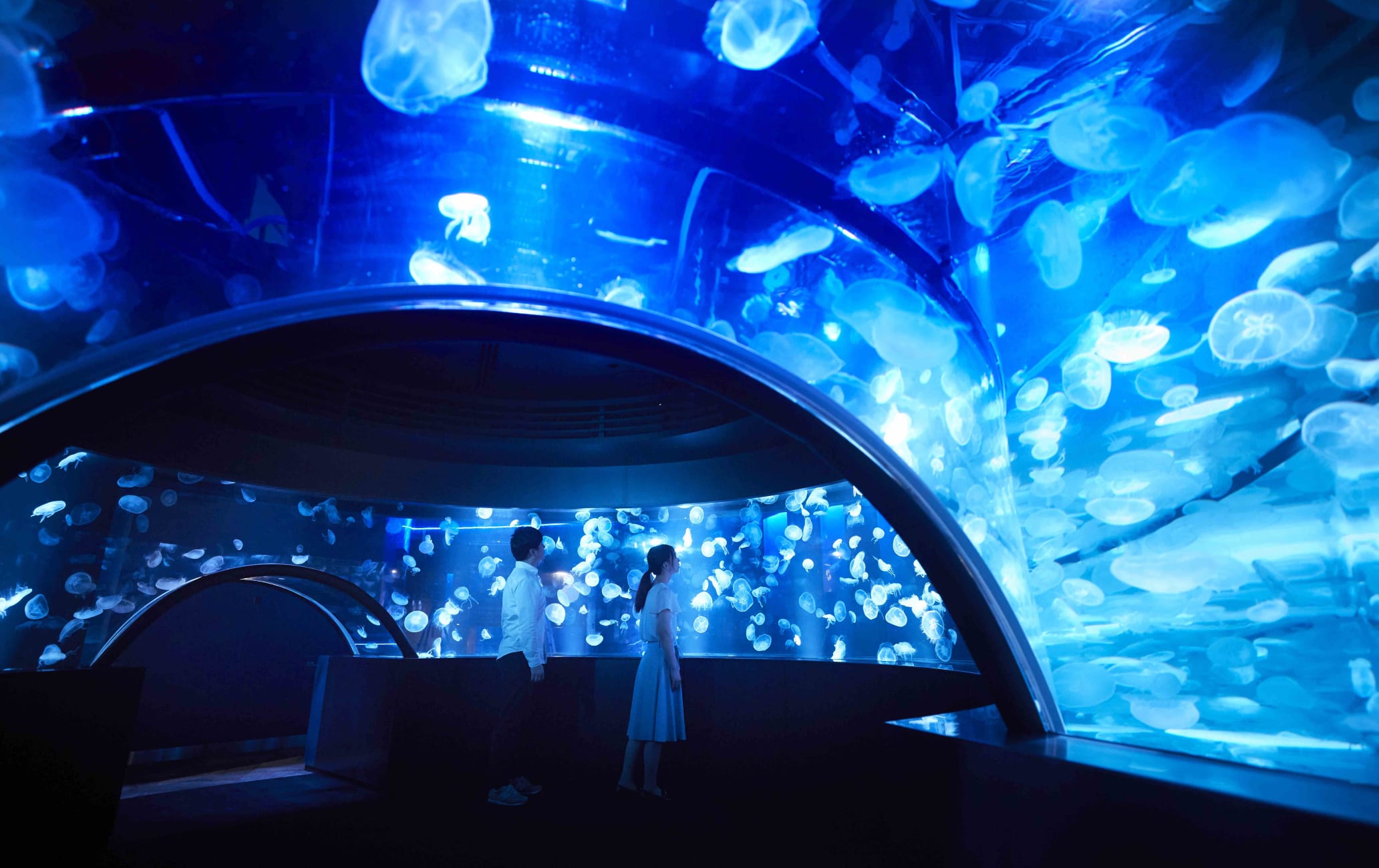 Kyoto Aquarium