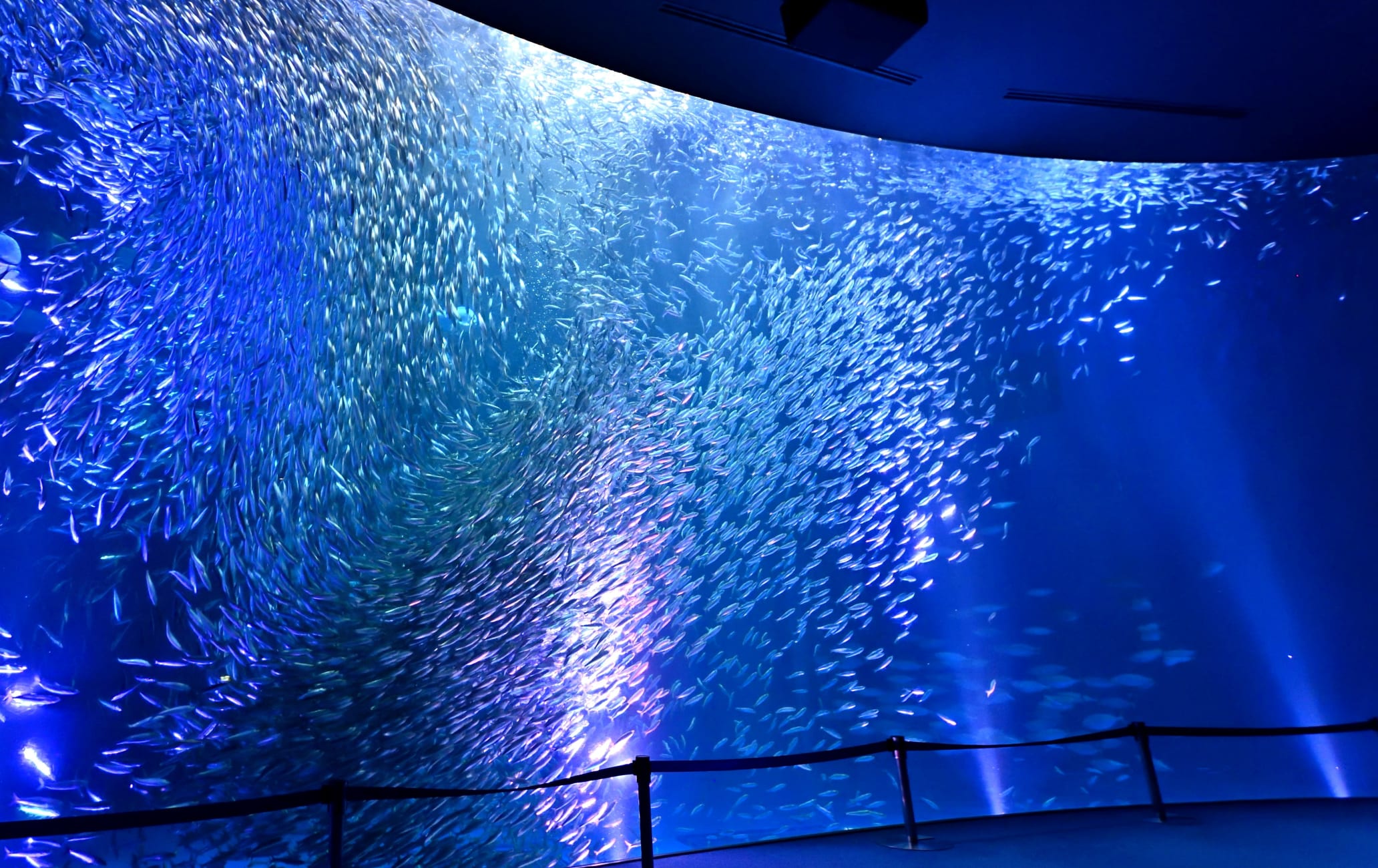 Port of Nagoya Public Aquarium