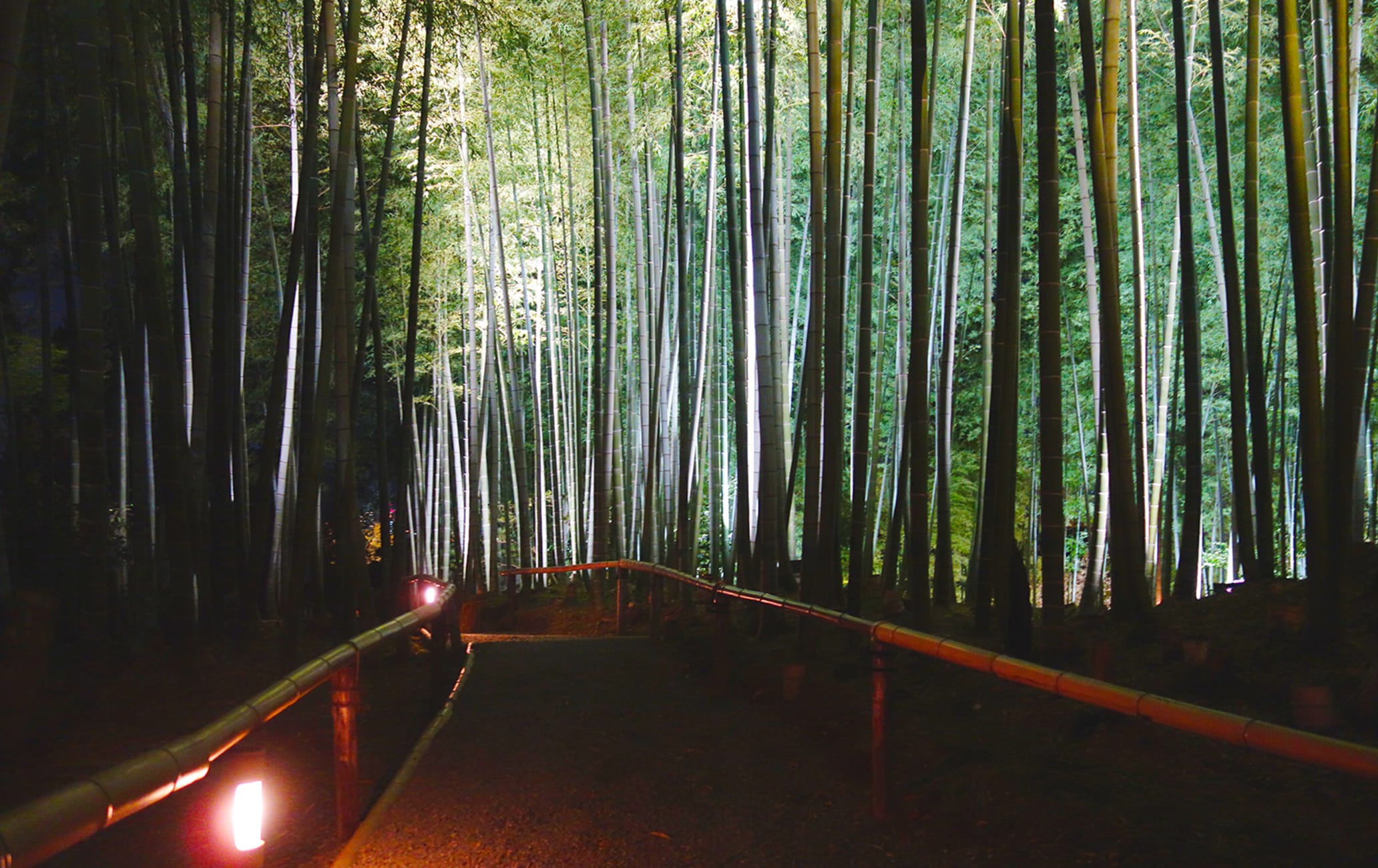 Kodaiji Temple