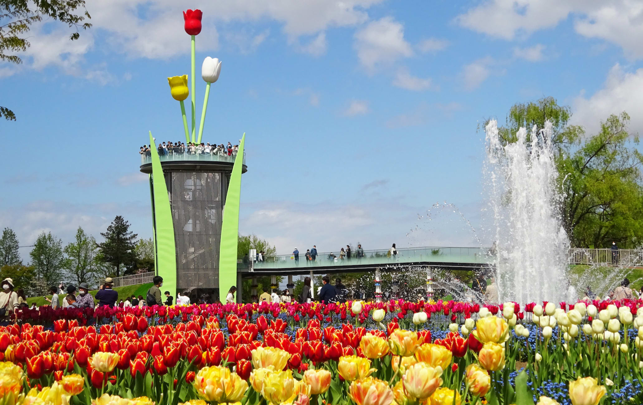 Parque de tulipanes de Tonami | Travel Japan (Organización Nacional de  Turismo de Japón)