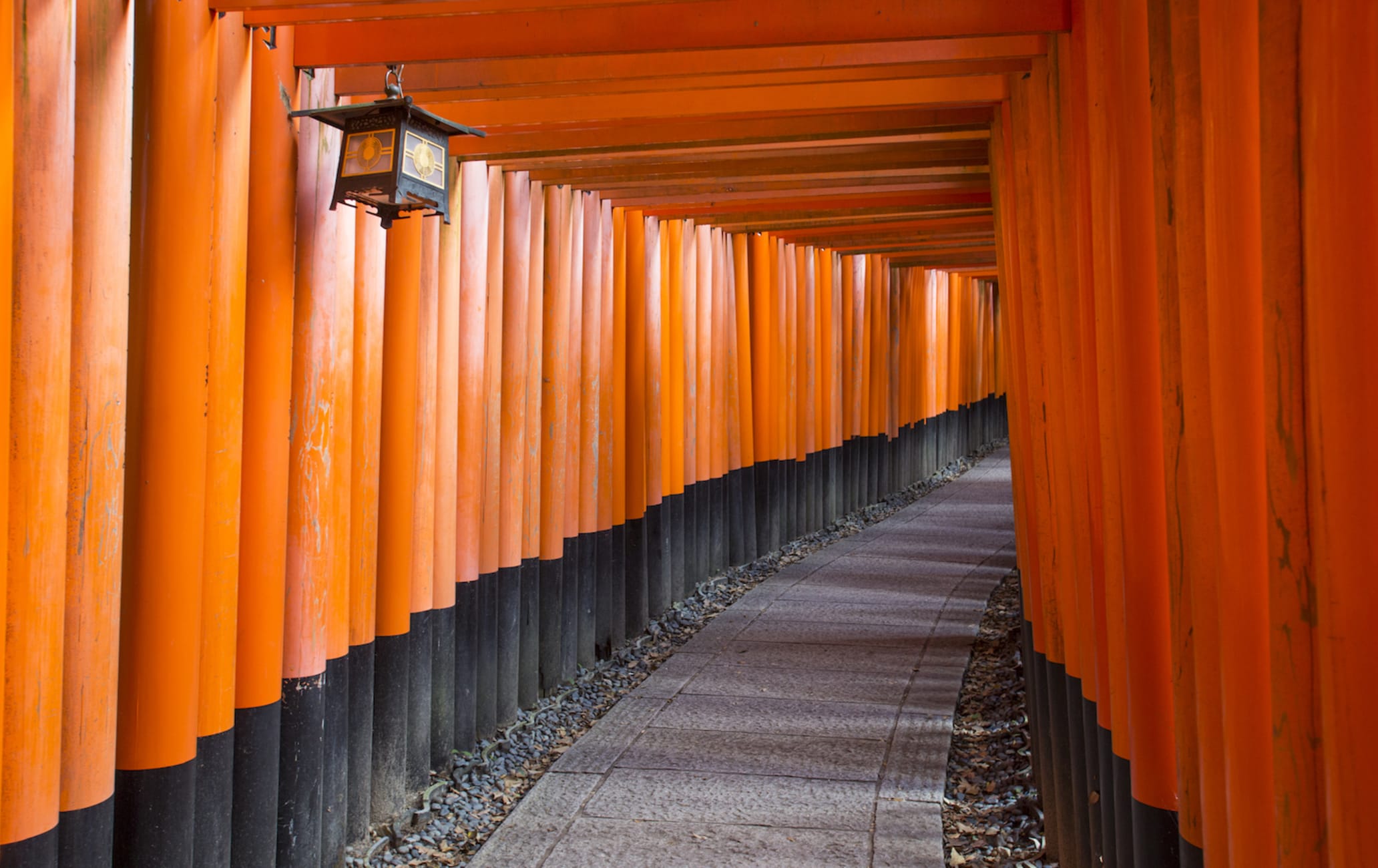 Fushimi Inari Taisha Shrine