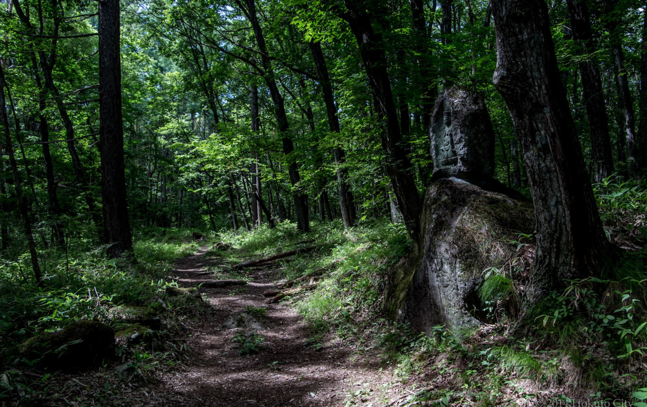 Shingen Bomichi Trail